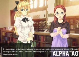 Лучшие RPG, MMORPG и визуальные новеллы в стиле аниме для Android Новеллы на русском языке андроид